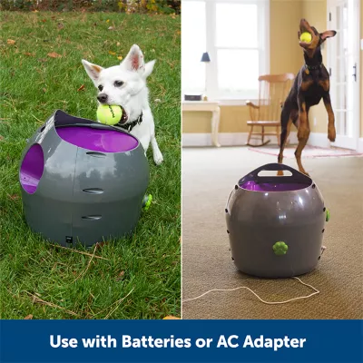 Product  PetSafe® Automatic Ball Launcher