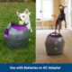 Product  PetSafe® Automatic Ball Launcher