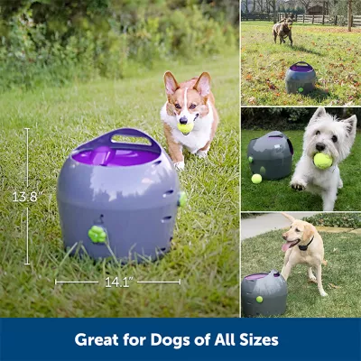 Product  PetSafe® Automatic Ball Launcher