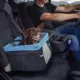 Product Kurgo® Rover Booster Dog Seat