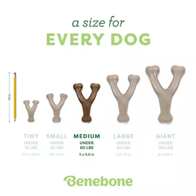 Product Benebone® Wishbone Bacon Flavored