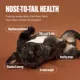 Product NOM NOM All Life Stage Frozen Dog Food - Sampler Pack, 1.76 lb