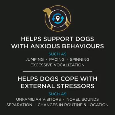 Product Purina Pro Plan Veterinary Supplements Calming Care Powdered Dog Calming Probiotic, 30 g