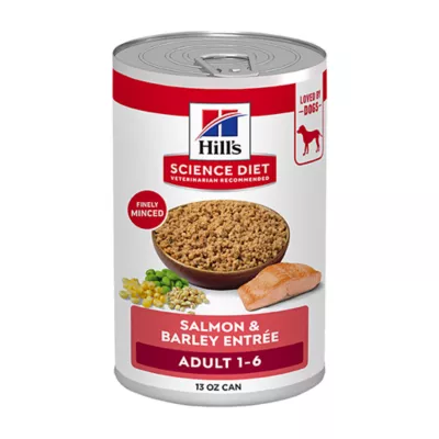Product Hill's Science Diet Adult Dog Wet Food - Salmon & Barley Entree, 13 oz