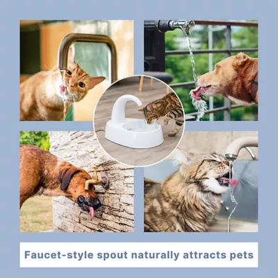 Product TRIXIE Curved Stream Drinking Fountain 84.5 oz