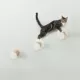 Product TRIXIE Wall Mount Cat Climbing Steps