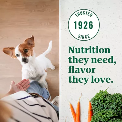 Product NUTRO ULTRA™ Small Breed Adult Dry Dog Food - Chicken, Lamb, Salmon