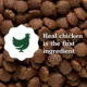 Product Greenies Smart Essentials Adult High Protein Dry Dog Food Real Chicken & Rice Recipe, 6 lb. Bag