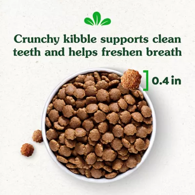 Product Greenies Smart Essentials Small Breed Adult High Protein Dry Dog Food Chicken & Rice, 5.5 lb. Bag