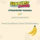 Product Higgins Sunburst Freeze Dried Strawberry Banana Fruit Bird Treat