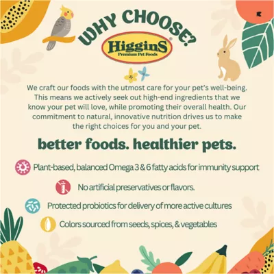 Product Higgins Sunburst Freeze Dried Pineapple Mango Fruit Bird Treat