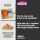Product Mini-PureBites RAW Freeze Dried Trainers Dog Treats - Salmon