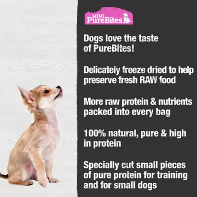 Product Mini-PureBites RAW Freeze Dried Trainers Dog Treats - Salmon