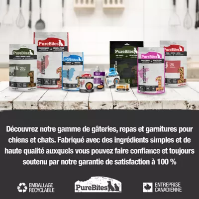 Product Mini-PureBites RAW Freeze Dried Trainers Dog Treats - Salmon