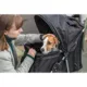 Product TRIXIE Foldable Pet Stroller for Cats and Dogs