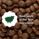 Product Greenies Smart Essentials Sensitive Digestion & Skin Adult Dry Dog Food Lamb & Brown Rice, 6 lb. Bag