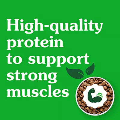 Product Greenies Smart Essentials Small Breed Adult High Protein Dry Dog Food Chicken & Rice, 13.5 lb. Bag