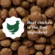 Product Greenies Smart Essentials Adult Large Breed High Protein Dry Dog Food Chicken & Rice, 15 lb. Bag