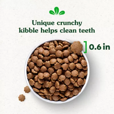 Product Greenies Smart Essentials Sensitive Digestion & Skin Adult Dry Dog Food Lamb & Brown Rice, 15 lb Bag