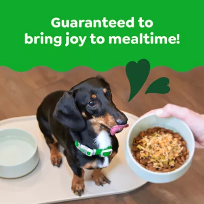 Product Greenies Smart Topper All Life Stages Wet Dog Meal Topper - Grain Free, Chicken & Green Beans, 2 oz