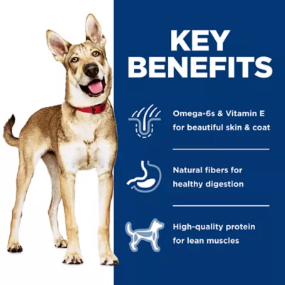 Product Hill's Science Diet Adult Dog Dry Food - Salmon & Brown Rice Recipe