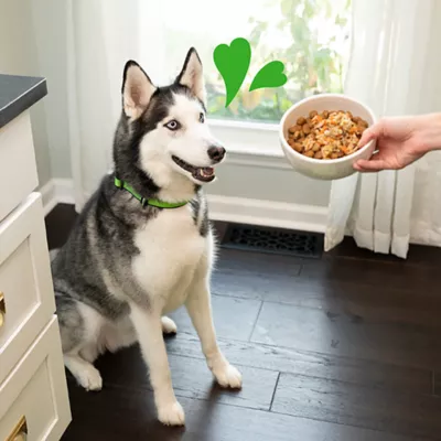 Product Greenies Smart Topper All Life Stages Wet Dog Meal Topper - Grain Free, Chicken, Beef, Potatoes