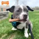 Product Nylabone® Healthy Edibles Meaty Center