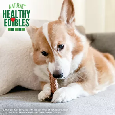 Product Nylabone® Healthy Edibles Meaty Center