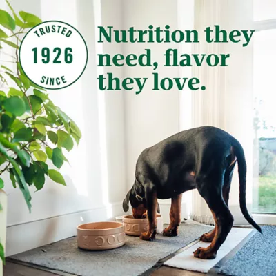 Product NUTRO ULTRA™ Large Breed Puppy Dry Dog Food - Chicken, Lamb, Salmon