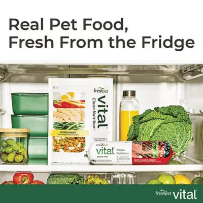 Product Freshpet Vital Benefits Healthy Aging Adult Dog Food - Chicken and Salmon Recipe