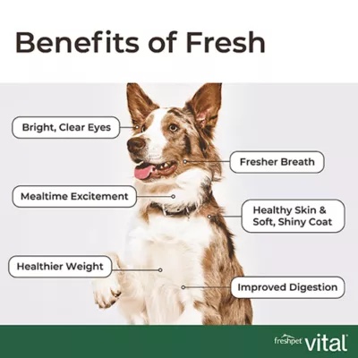 Product Freshpet Vital Benefits Healthy Aging Adult Dog Food - Chicken and Salmon Recipe