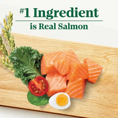 Product Nutro Natural Choice Adult Dog Food - Salmon & Brown Rice