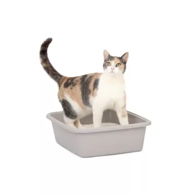 Product PetSafe® ScoopFree® Premium Natural Cat Litter - Natural Non-Clumping - 8 lb Bag
