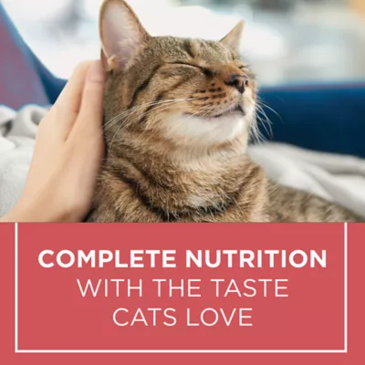 Product Purina Cat Chow Complete Nutrition Adult Cat Food - Salmon