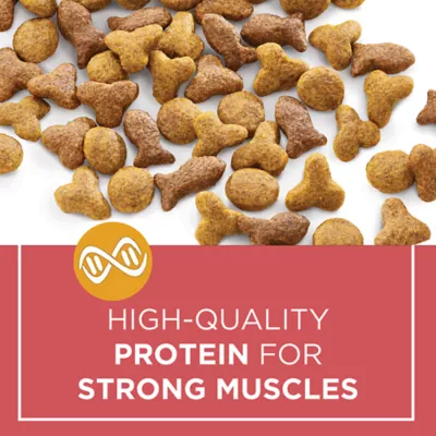 Product Purina Cat Chow Complete Nutrition Adult Cat Food - Salmon