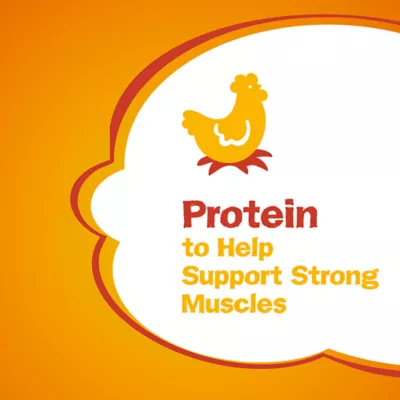 Product Friskies Dry Cat Food - Grillers Combo Assorted Flavours, 1.4 kg