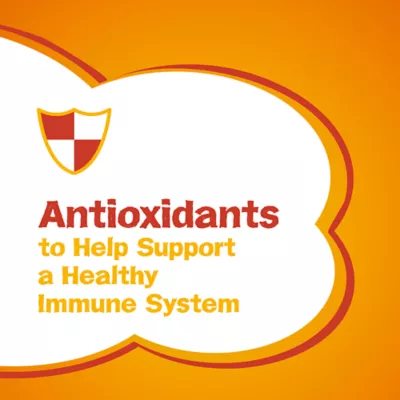 Product Friskies Dry Cat Food - Grillers Combo Assorted Flavours, 1.4 kg