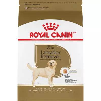 Product Royal Canin Breed Health Nutrition Labrador Retriever Adult Dry Dog Food