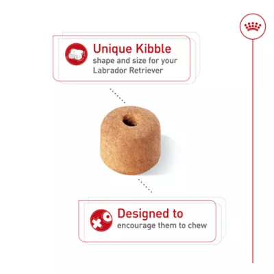 Product Royal Canin Breed Health Nutrition Labrador Retriever Adult Dry Dog Food