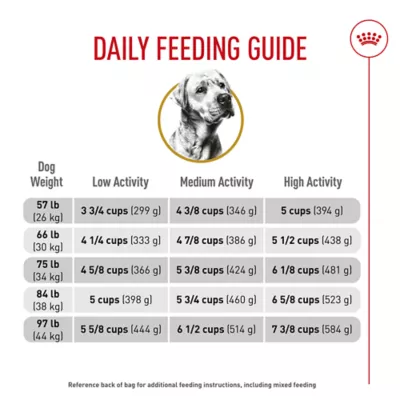 Product Royal Canin Breed Health Nutrition Labrador Retriever Adult Dry Dog Food