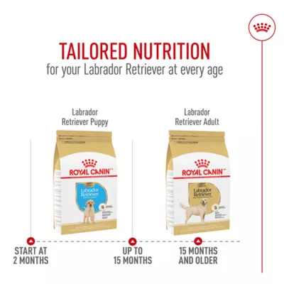 Product Royal Canin Breed Health Nutrition Labrador Retriever Adult Dry Dog Food
