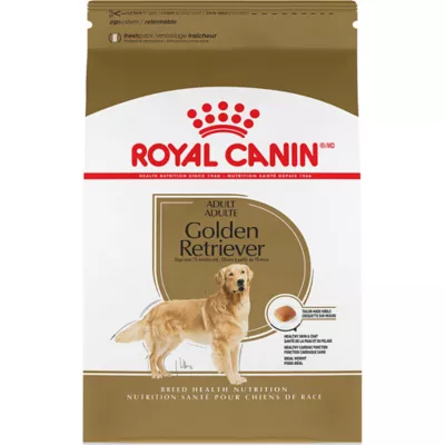Product Royal Canin Breed Health Nutrition Golden Retriever Adult Dry Dog Food
