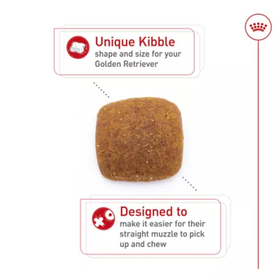 Product Royal Canin Breed Health Nutrition Golden Retriever Adult Dry Dog Food