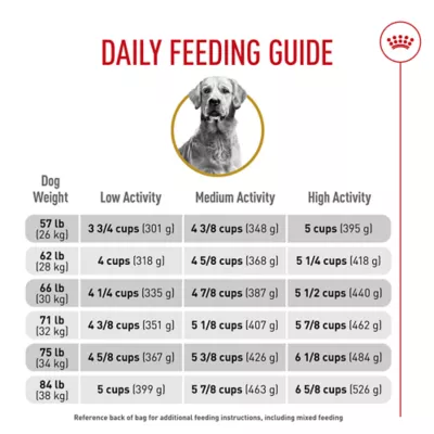 Product Royal Canin Breed Health Nutrition Golden Retriever Adult Dry Dog Food