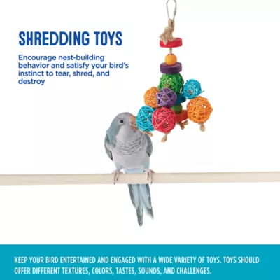 Product All Living Things® Have A Ball Shredding Bird Toy