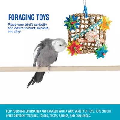 Product All Living Things® Vine Mat Bird Foraging Toy