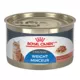 Product Royal Canin Feline Care Adult Wet Cat Food, Nutrition Weight Care - Thin Slices in Gravy