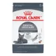 Product Royal Canin Feline Adult Dry Cat Food Care Nutrition, Dental Care