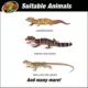 Product Zoo Med 20 Gallon Leopard Gecko ReptiHabitat Terrarium Kit