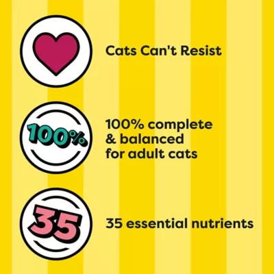 Product Temptations Adult Complete Nutrition Dry Cat Food - Tasty Chicken